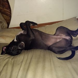 Meet your Posher, Gayle